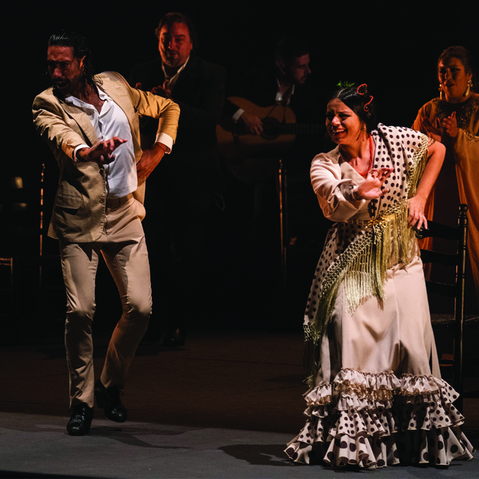 Gala Flamenca; photo by David Ruano
